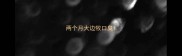 两个月大边牧口臭