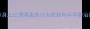 猫咪身上出现跳蚤的10大症状与科学防治指南