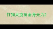 打狗犬疫苗全身无力