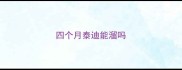 四个月泰迪能溜吗