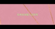 拉布拉多舔人卫生吗