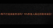 小狗不打疫苗能养活吗90养宠人踩过的致命误区