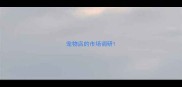 宠物店的市场调研