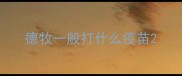 德牧一般打什么疫苗
