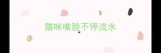 猫咪嘴脸不停流水