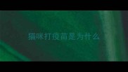 猫咪打疫苗是为什么