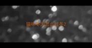 猫咪冬天怎么过冬