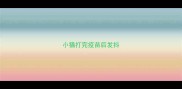 小猫打完疫苗后发抖