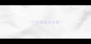1个月泰迪有多重