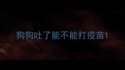 狗狗吐了能不能打疫苗