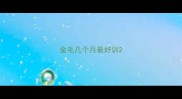 金毛几个月最好训