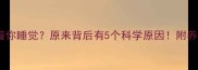 猫咪总爱贴着你睡觉原来背后有5个科学原因附养猫必看指南
