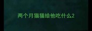 两个月猫猫给他吃什么