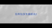拉布拉多生病前兆