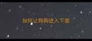如何让狗狗进入下面