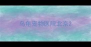 乌龟宠物医院北京