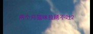 两个月猫咪拉稀不吐
