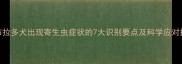 拉布拉多犬出现寄生虫症状的7大识别要点及科学应对指南