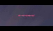 两个月侏儒兔体重