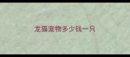 龙猫宠物多少钱一只