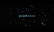猫咪体内驱虫怎么吃