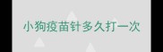小狗疫苗针多久打一次