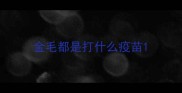 金毛都是打什么疫苗