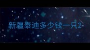 新疆泰迪多少钱一只