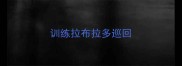 训练拉布拉多巡回