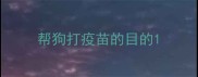 帮狗打疫苗的目的