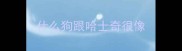 什么狗跟哈士奇很像