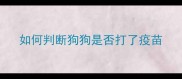 如何判断狗狗是否打了疫苗