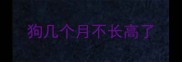 狗几个月不长高了