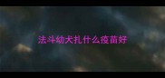 法斗幼犬扎什么疫苗好