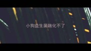 小狗益生菌融化不了