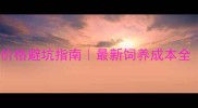 大型哈士奇纯种价格避坑指南最新饲养成本全附选购攻略