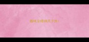 猫咪没精神爪子热