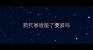 狗狗喉咙哑了要紧吗