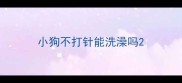 小狗不打针能洗澡吗
