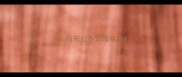 cku拉布拉多繁殖年龄