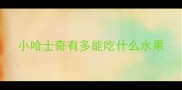 小哈士奇有多能吃什么水果
