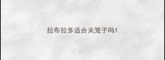 拉布拉多适合关笼子吗