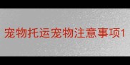 宠物托运宠物注意事项