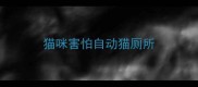 猫咪害怕自动猫厕所