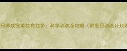 5个月养成完美拉布拉多科学训练全攻略附每日训练计划表