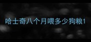 哈士奇八个月喂多少狗粮