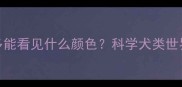 拉布拉多能看见什么颜色科学犬类世界冷知识