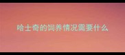 哈士奇的饲养情况需要什么