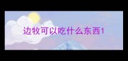 边牧可以吃什么东西