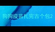 狗狗疫苗扎完古个包